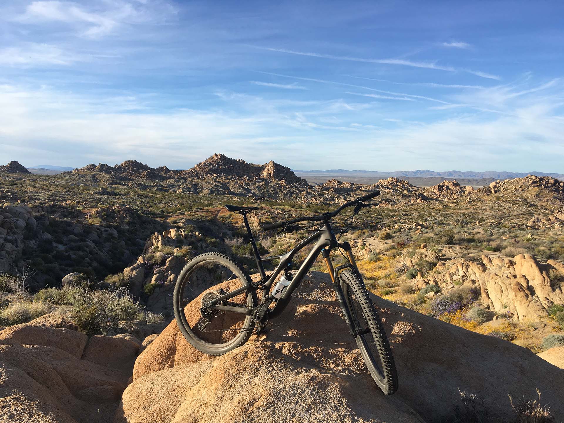 joshua tree mountain biking